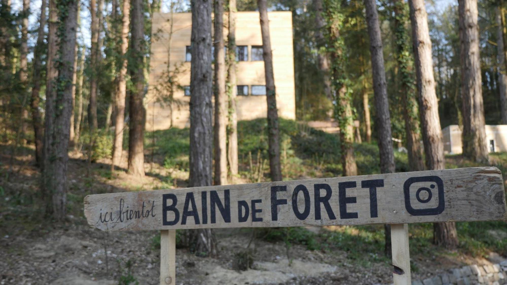 Bain De Foret - Lodges Cosy & Spa Neufchatel-Hardelot Room photo