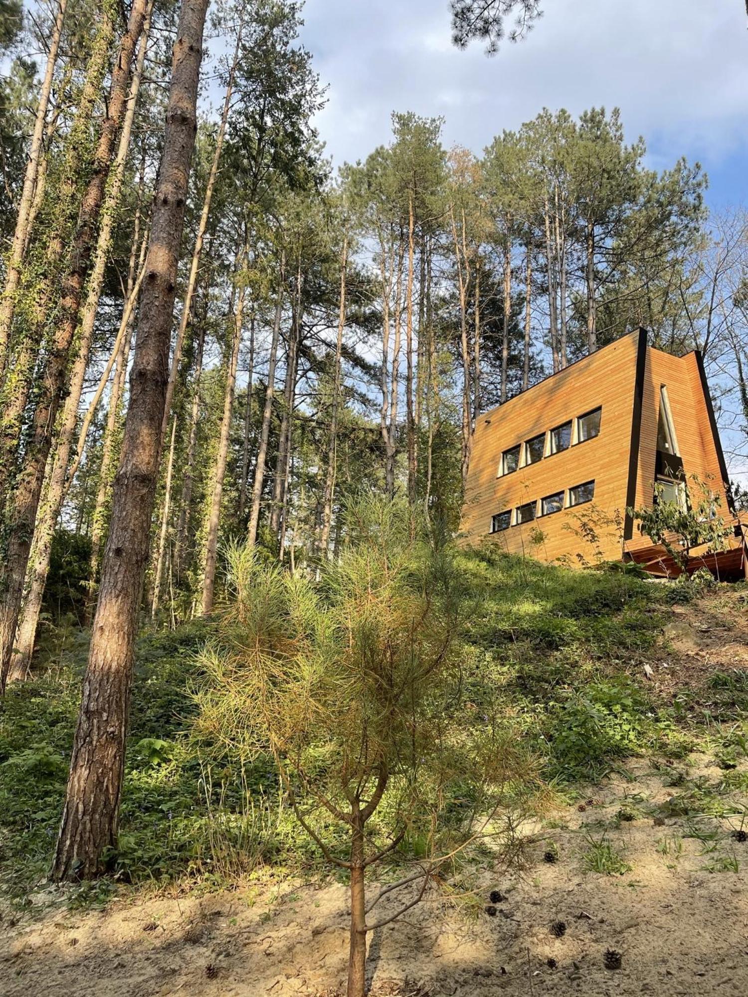 Bain De Foret - Lodges Cosy & Spa Neufchatel-Hardelot Room photo